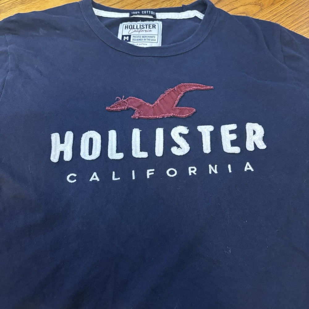 Hollister Men's Medium‎ T-Shirt, Navy Blue, Maroon Bird Logo Preppy Y2K